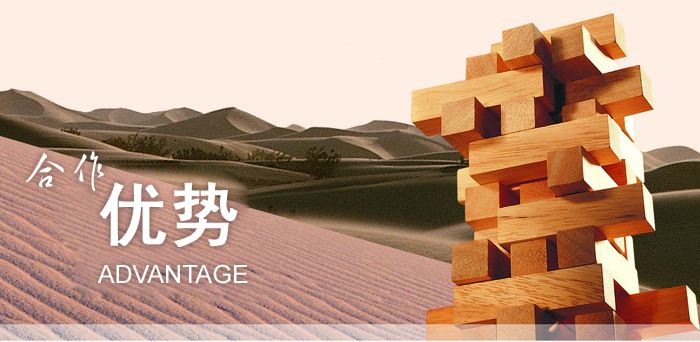 探討：小型網(wǎng)絡公司如何經營